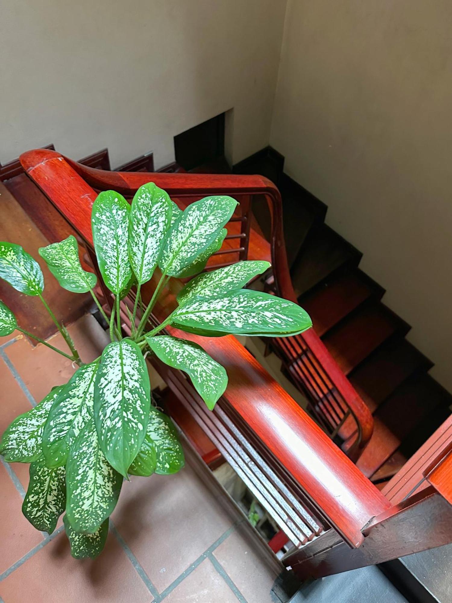 Halo Bay Homestay Ha Long Dış mekan fotoğraf